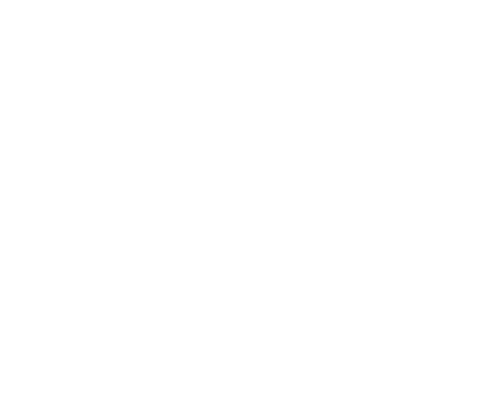4 Зимний фестиваль